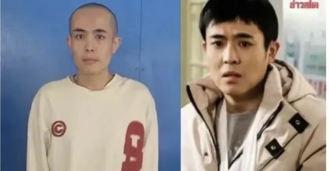 演员被骗缅甸顺利归来,网红雅典娜却疑似被撕票?引发网友热议!