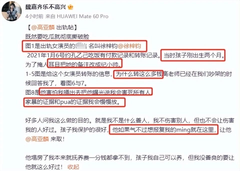 家有儿女演员高亚麟被指家暴出轨,舆论哗然,真相待解!
