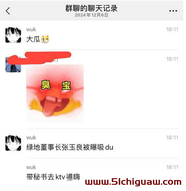 网络传闻下的张玉良与绿地集团